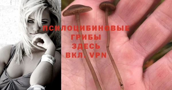 альфа пвп VHQ Алзамай