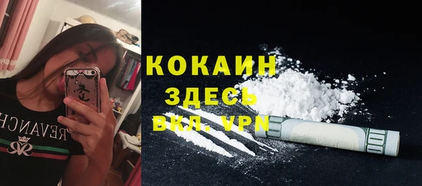 apvp Алексин