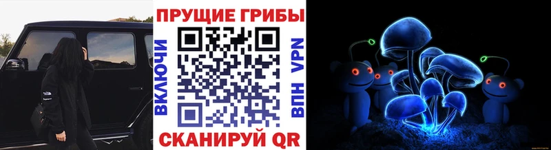 Псилоцибиновые грибы GOLDEN TEACHER  это Telegram  Пустошка 